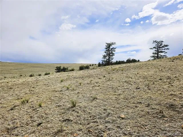PCS#24131 Chato Road Hartsel, CO 80449