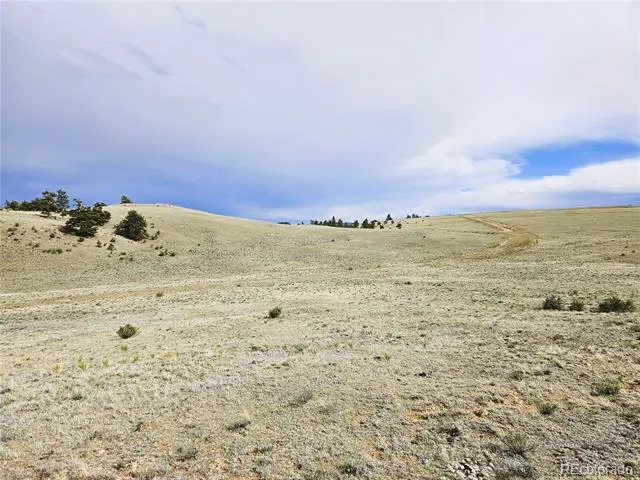 PCS#24131 Chato Road Hartsel, CO 80449