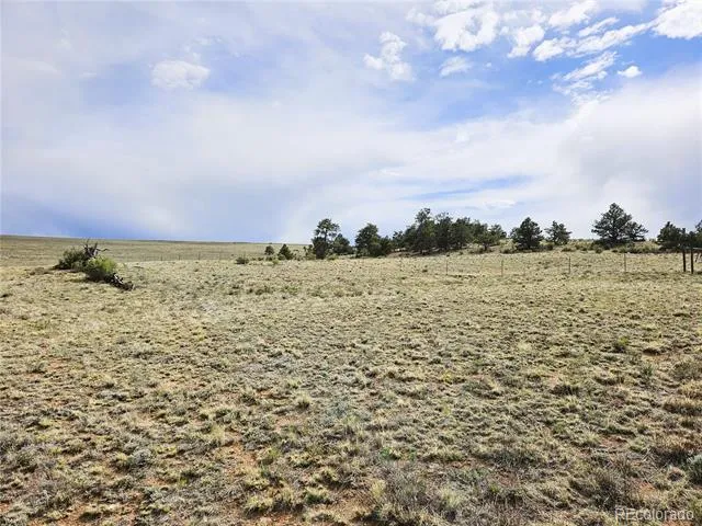 PCS#24131 Chato Road Hartsel, CO 80449