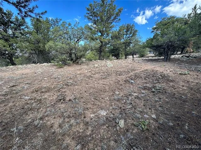 1761 Summitview Way Crestone, CO 81131