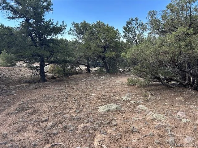 1761 Summitview Way Crestone, CO 81131