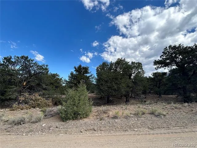 1761 Summitview Way Crestone, CO 81131