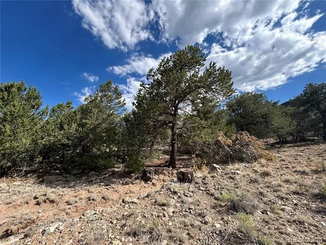 1761 Summitview Way Crestone, CO 81131
