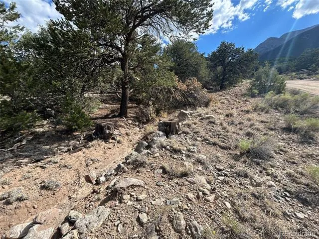 1761 Summitview Way Crestone, CO 81131