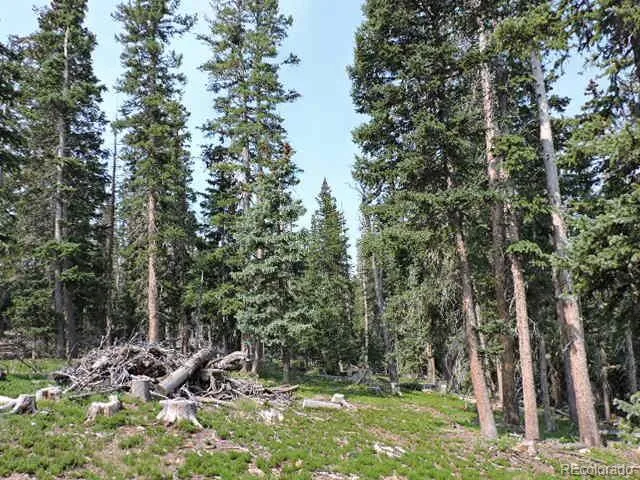 6548 Giesse Road San Luis, CO 81152