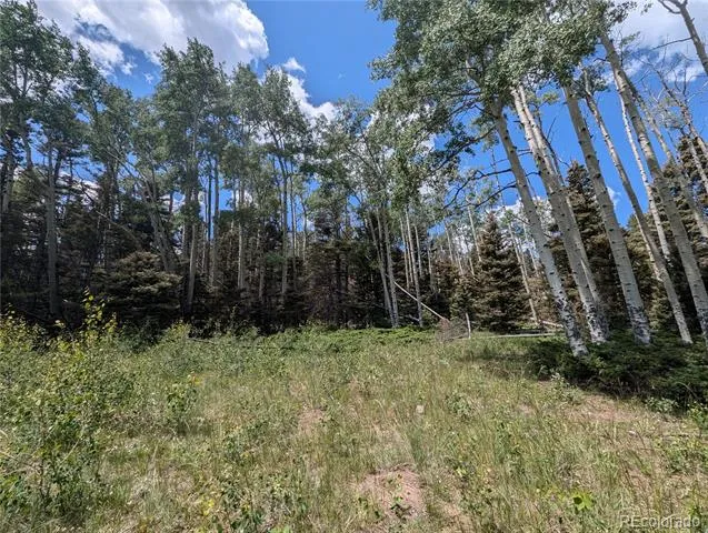 3070 Henderson Drive Fort Garland, CO 81133