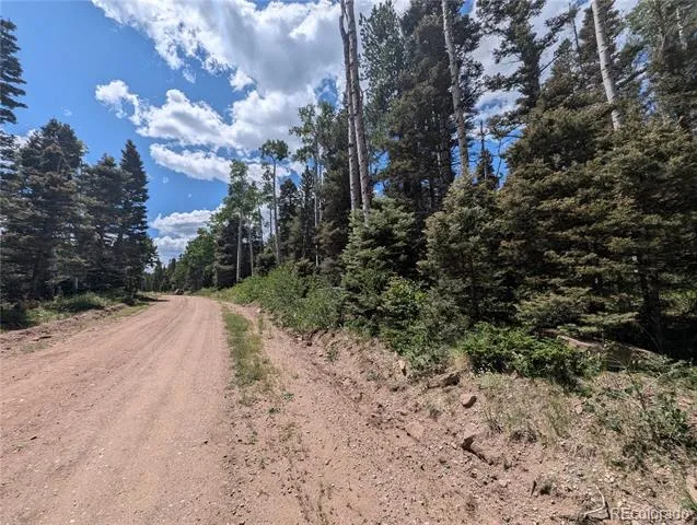 3070 Henderson Drive Fort Garland, CO 81133