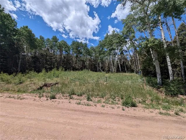 3070 Henderson Drive Fort Garland, CO 81133