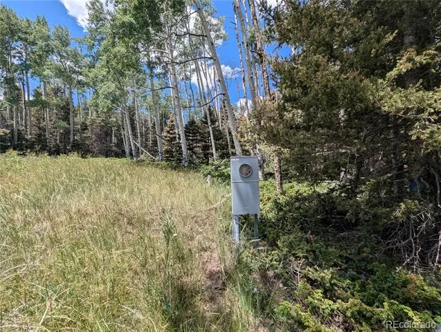 3070 Henderson Drive Fort Garland, CO 81133