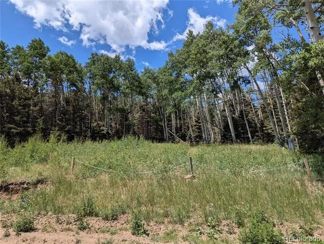 3070 Henderson Drive Fort Garland, CO 81133