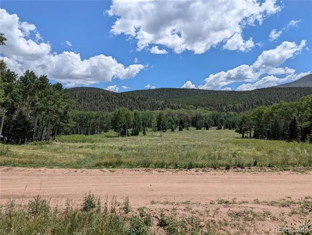 3070 Henderson Drive Fort Garland, CO 81133