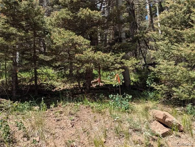 3070 Henderson Drive Fort Garland, CO 81133