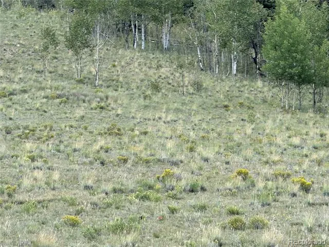 098 Wabeno Court Jefferson, CO 80456