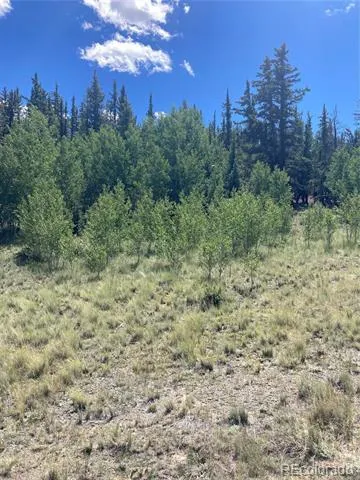 098 Wabeno Court Jefferson, CO 80456