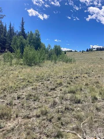 098 Wabeno Court Jefferson, CO 80456
