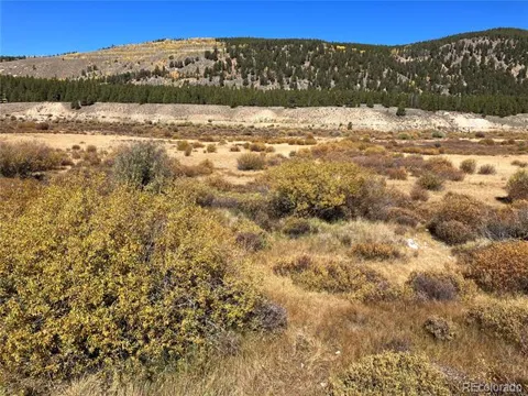 Leadville Land