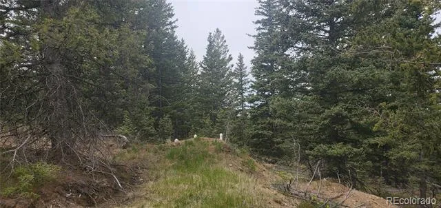 6601 Heckman Road San Luis, CO 81152