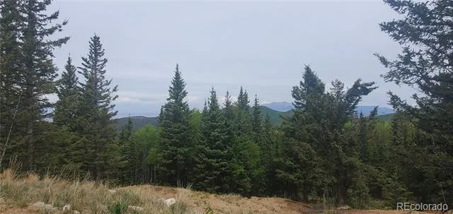 6601 Heckman Road San Luis, CO 81152