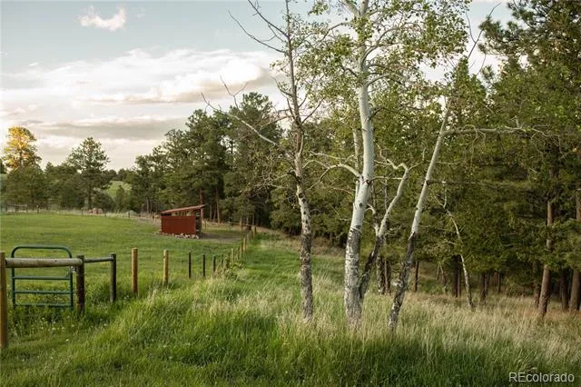 5276 S Bear Mtn. Drive Evergreen, CO 80439
