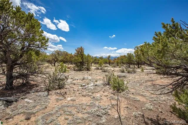 Midland Circle (373A) Buena Vista, CO 81211