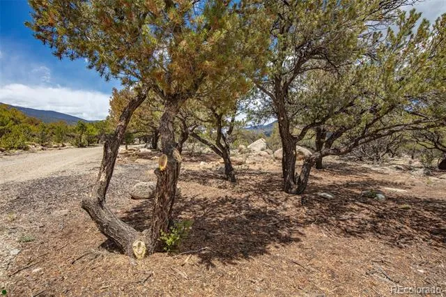 Midland Circle (373A) Buena Vista, CO 81211