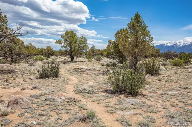 Midland Circle (373A) Buena Vista, CO 81211