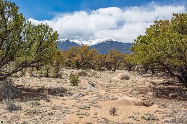 Midland Circle (373A) Buena Vista, CO 81211