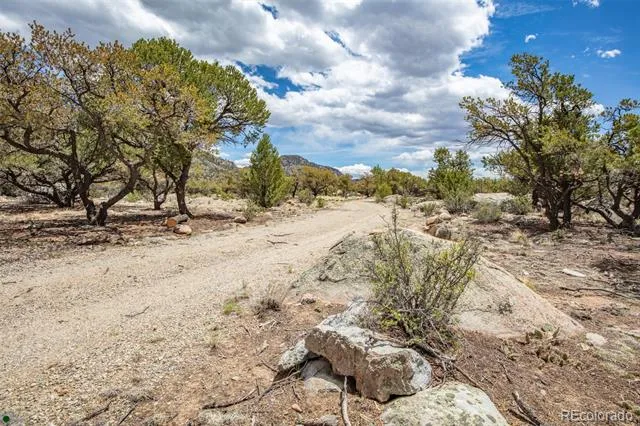 Midland Circle (373A) Buena Vista, CO 81211