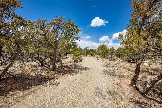 Midland Circle (373A) Buena Vista, CO 81211