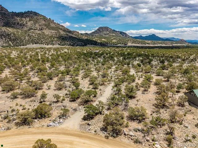 Midland Circle (373A) Buena Vista, CO 81211