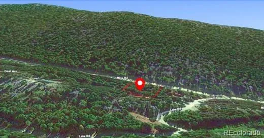 U2 Lot 42 Mine Road Idaho Springs, CO 80452