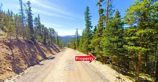 U2 Lot 42 Mine Road Idaho Springs, CO 80452