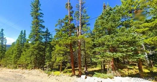 U2 Lot 42 Mine Road Idaho Springs, CO 80452