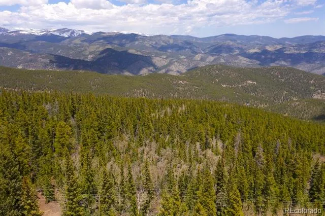 000 Lamartine Road Idaho Springs, CO 80452