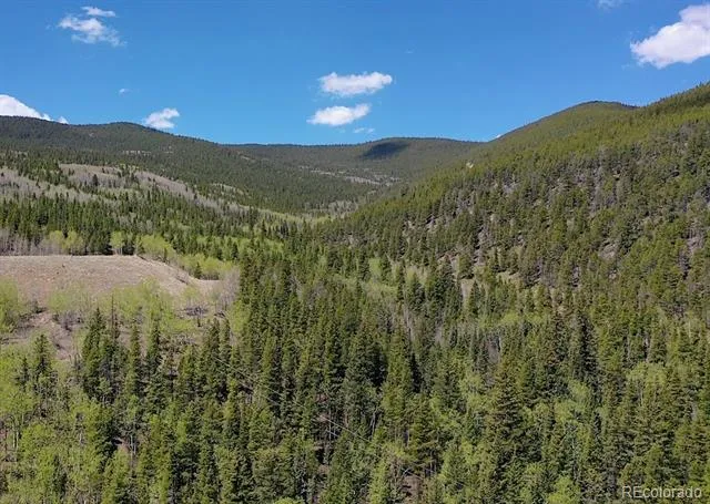 000 Lamartine Road Idaho Springs, CO 80452