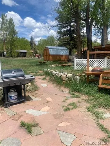 149 Lang Street Twin Lakes, CO 81251