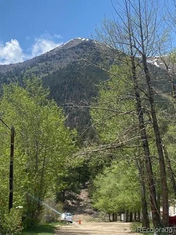 149 Lang Street Twin Lakes, CO 81251