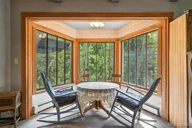 1493 Silver Valley Road Silver Plume, CO 80476