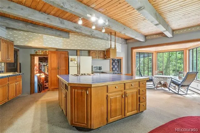 1493 Silver Valley Road Silver Plume, CO 80476
