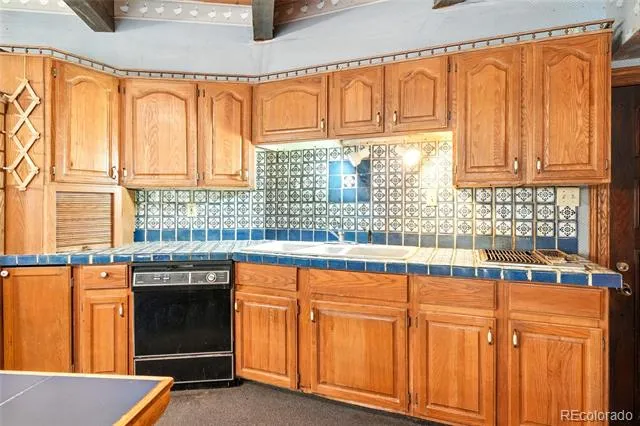 1493 Silver Valley Road Silver Plume, CO 80476