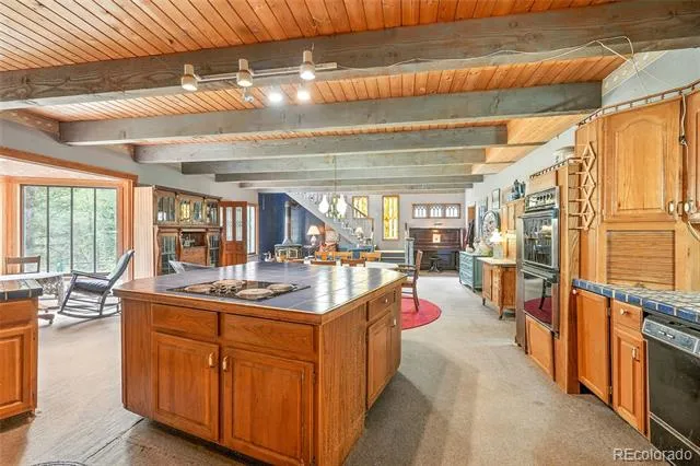 1493 Silver Valley Road Silver Plume, CO 80476