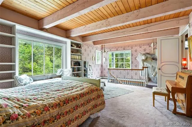 1493 Silver Valley Road Silver Plume, CO 80476