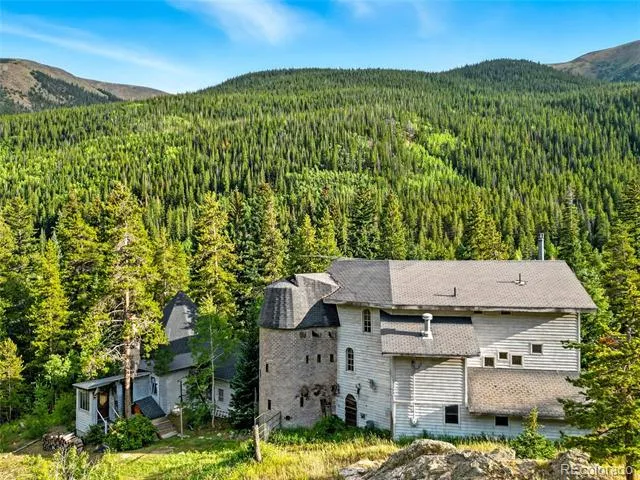 1493 Silver Valley Road Silver Plume, CO 80476