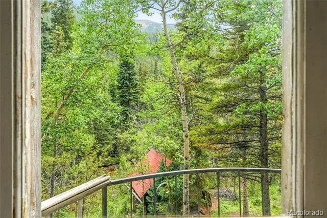 1493 Silver Valley Road Silver Plume, CO 80476