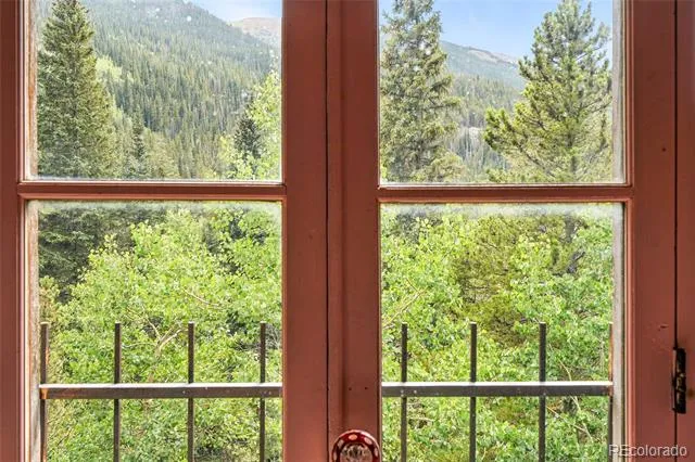 1493 Silver Valley Road Silver Plume, CO 80476