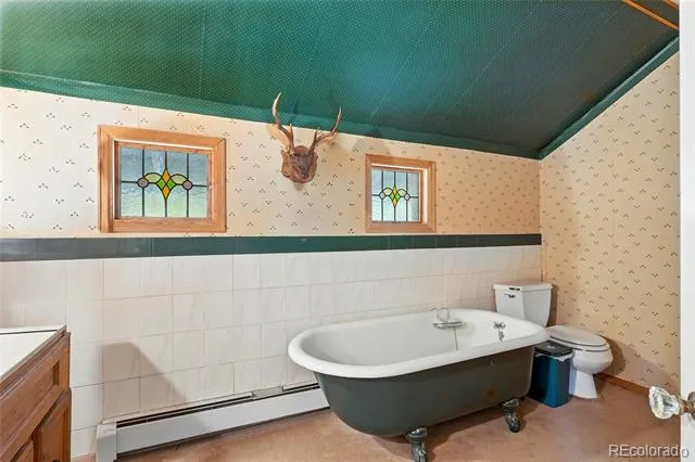 1493 Silver Valley Road Silver Plume, CO 80476