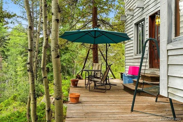 1493 Silver Valley Road Silver Plume, CO 80476