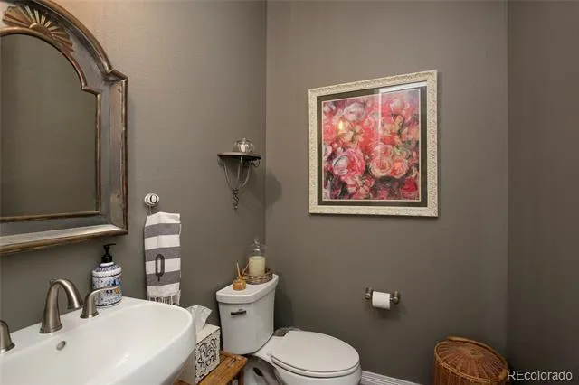 1108 Starglow Place Highlands Ranch, CO 80126