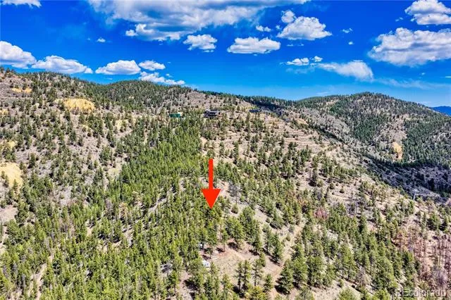 Lots 1 & 2 Gertrude Edgardine Idaho Springs, CO 80452