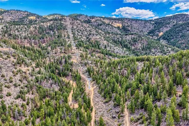 Lots 1 & 2 Gertrude Edgardine Idaho Springs, CO 80452